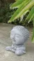morepic-3